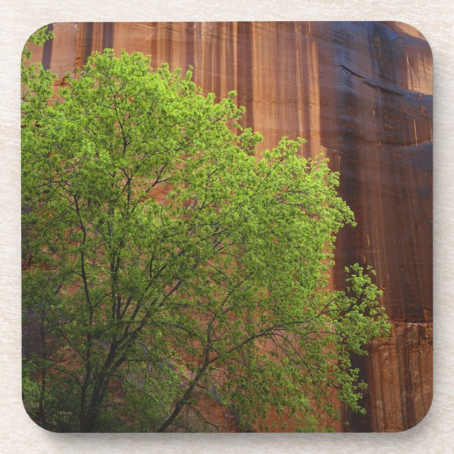 Porta-copo EUA, Utah, Paria Canyon- Vermillion Cliffs (Frente)