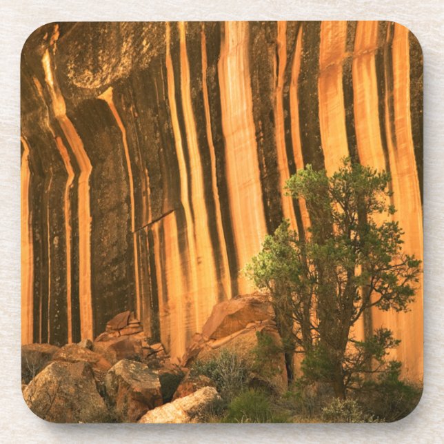 Porta-copo EUA, Utah, Parque Nacional Capitol Reef (Frente)