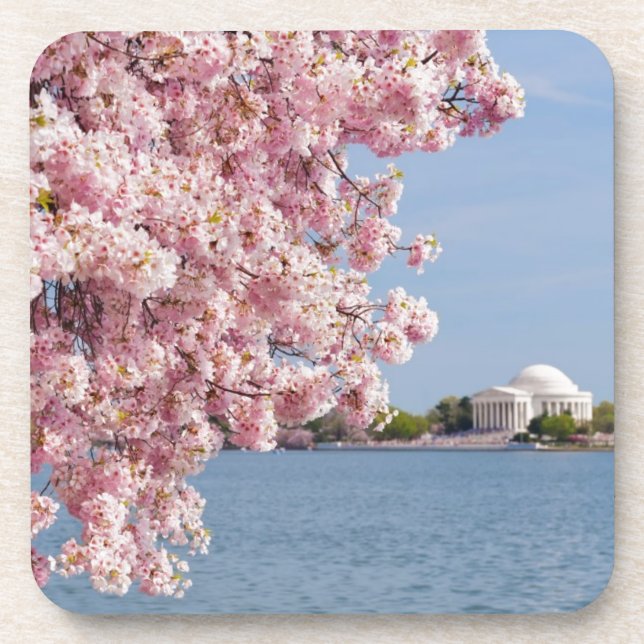 Porta-copo EUA, Washington DC, árvore de cereja (Frente)