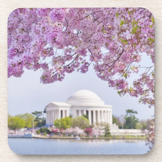 Porta-copo EUA, Washington DC, árvore de cereja na flor (Frente)
