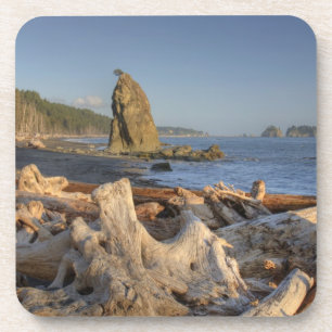 Porta-copo EUA, Washington, Parque Nacional Olímpico, Rialto