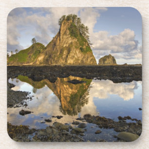 Porta-copo EUA, Washington, Parque Nacional Olímpico. Um
