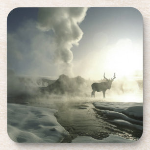 Porta-copo EUA, Wyoming, Parque Nacional de Yellowstone. Nasc
