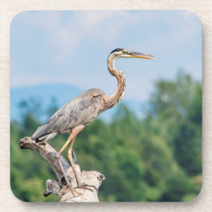 Porta-copo Excelente Blue Heron