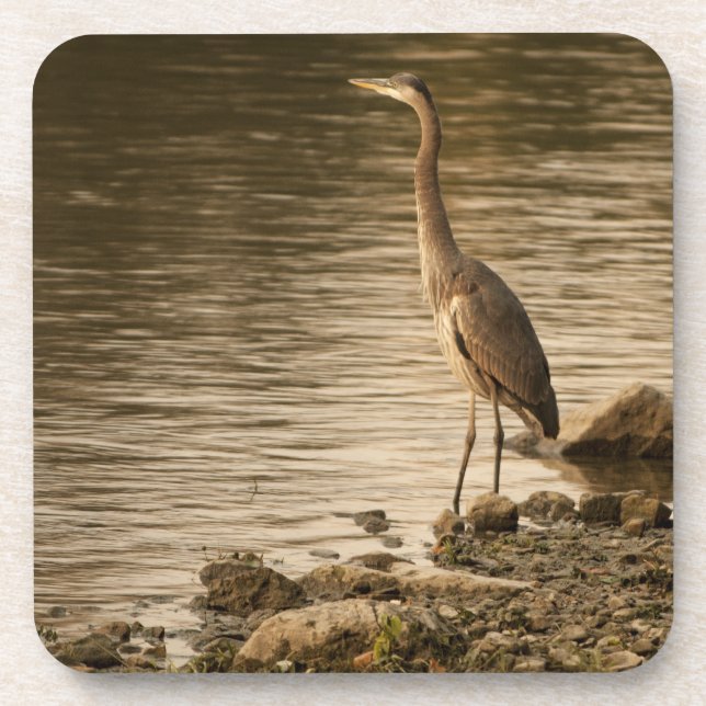 Porta-copo Excelente Blue Heron (Frente)