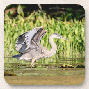 Porta-copo Excelente Blue Heron