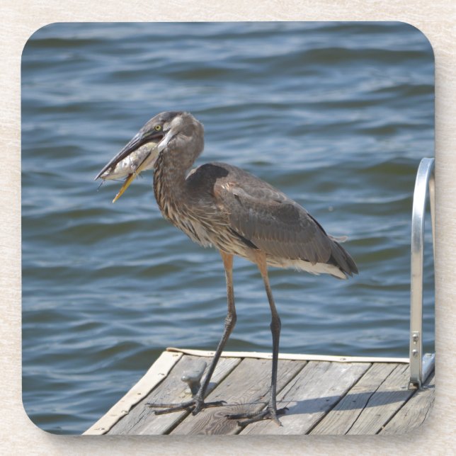 Porta-copo Excelente Blue Heron Bird Nature (Frente)