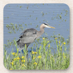 Porta-copo Excelente Blue Heron no rio.