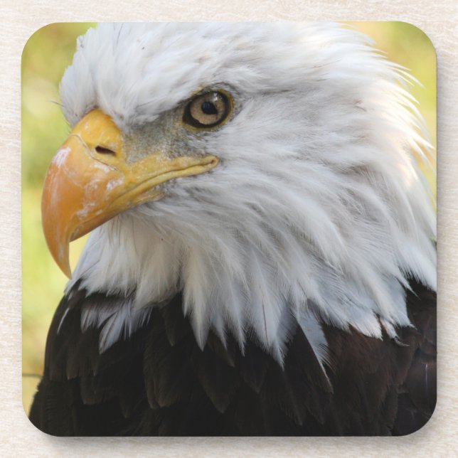 Porta-copo Falln Bald Eagle Liberty (Frente)