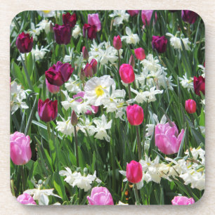 Porta-copo Falln Romantic Primavera Morning
