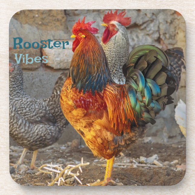 Porta-copo Farm Life Rooster Vibes Hard Plastic Coasters (Frente)