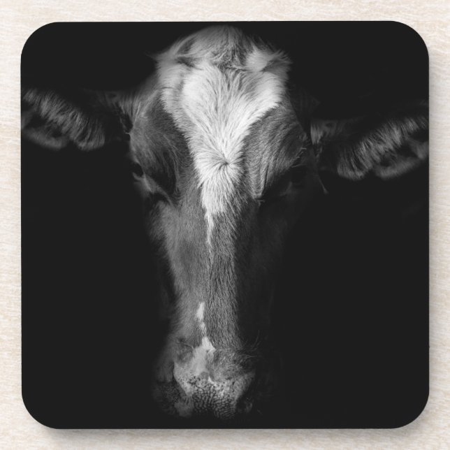 Porta-copo Fazendas | Foto Da Cabeça De Vaca B&W (Frente)