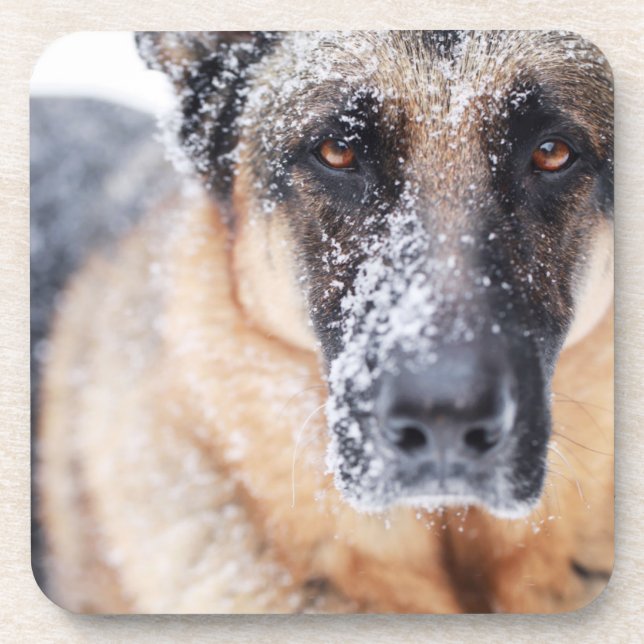 Porta-copo Fechamento Do german shepherd Coberto Na Neve (Frente)