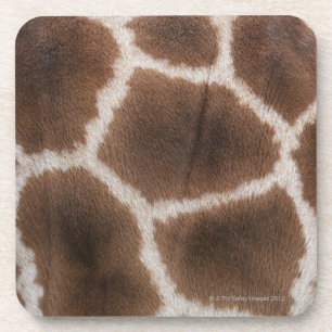 Porta-copo Feche acima da pele dos girafas
