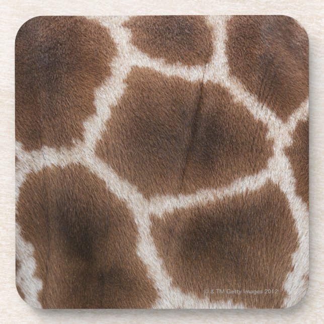 Porta-copo Feche acima da pele dos girafas (Frente)