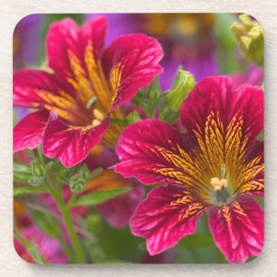 Porta-copo Fechos pintados de língua de seus sangramentos -