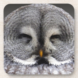 Porta-copo Feliz Coruja