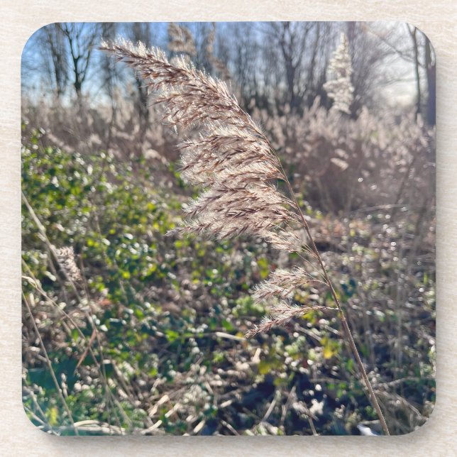 Porta-copo Feliz outono. (Frente)