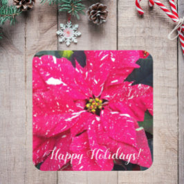 Porta-copo Feriado Floral de Poinsettia Variegada Vermelha