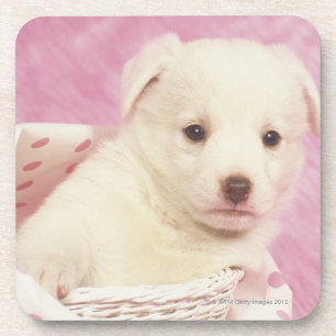 Porta-copo Filhote de cachorro 5