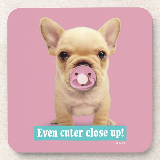 Porta-copo Filhote de cachorro bonito com Pacifier (Frente)