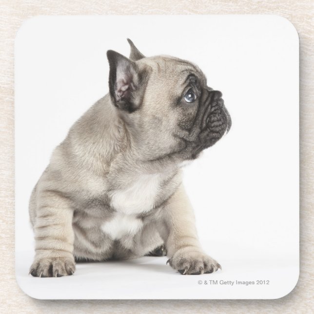 Porta-copo Filhote de cachorro da pedigree (Frente)