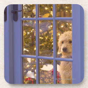 Porta-copo Filhote de cachorro dourado do Doodle que olha