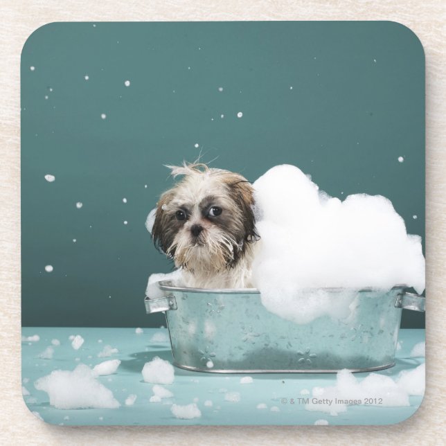 Porta-copo Filhote de cachorro no banho da espuma (Frente)