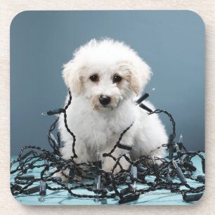 Porta-copo Filhote de cachorro tangled em luzes de Natal