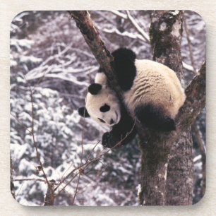 Porta-copo Filhote de panda brincando em árvore coberta de ne
