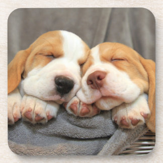 Porta-copo Filhotes de cachorro sonolentos