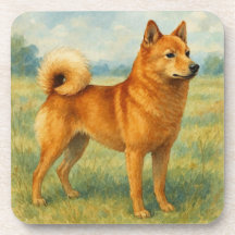Finnish Spitz