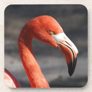 Porta-copo Flamingo