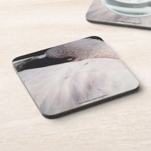 Porta-copo Flamingo