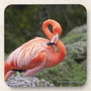 Porta-copo Flamingo cor-de-rosa