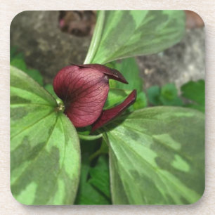 Porta-copo Flor