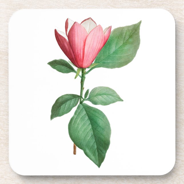 Porta-copo Flor: A001 Lily Magnolia - (Frente)