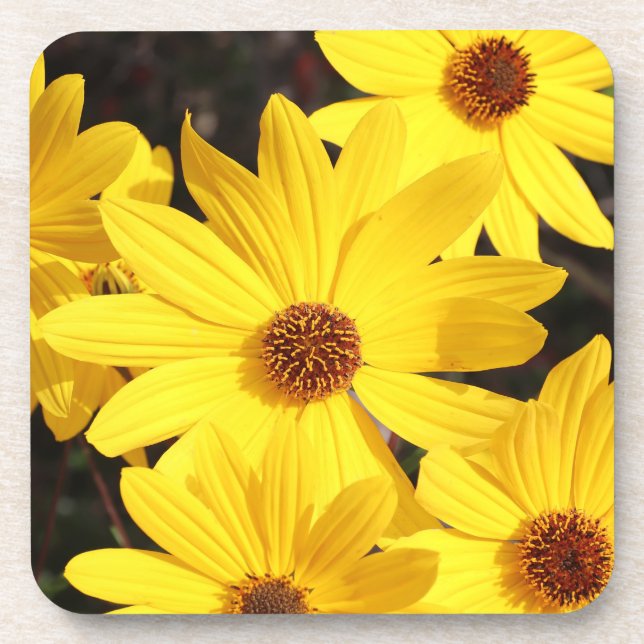 Porta-copo Flor Amarelo (Frente)