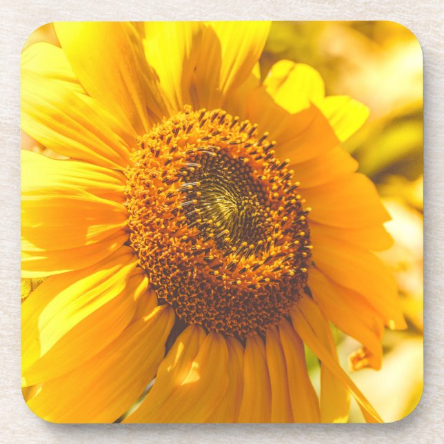 Porta-copo Flor Amarelo Sunflower (Frente)