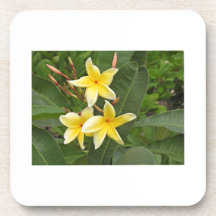 Flor Botânica de Plumeria Amarela