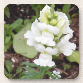 Porta-copo Flor branca