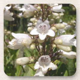 Porta-copo Flor Branca
