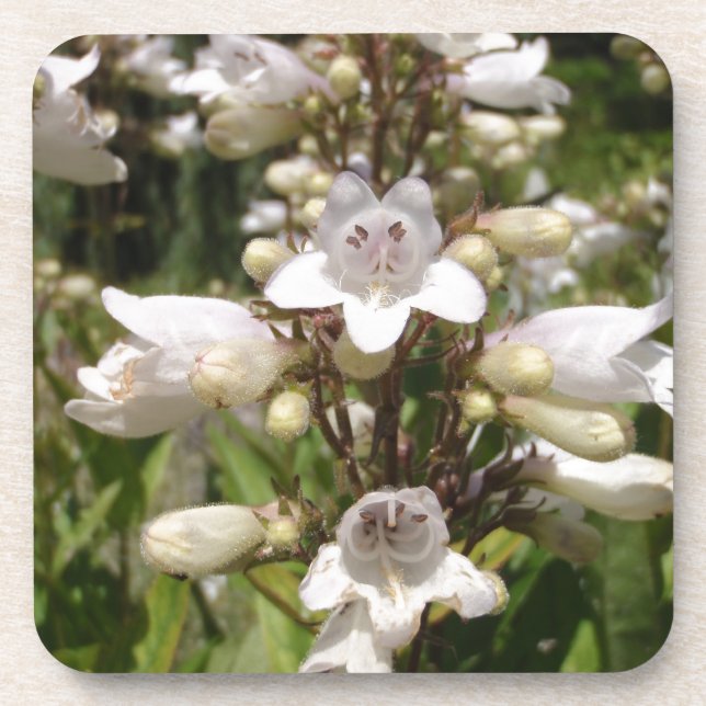 Porta-copo Flor Branca (Frente)