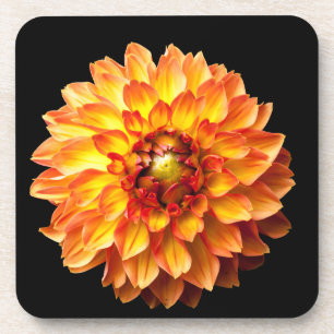 Porta-copo Flor Dahlia