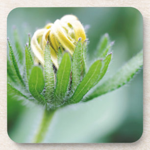 Porta-copo Flor De Abertura Da Flor Cone