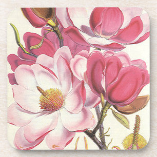 Porta-copo Flor de Árvore Magnólia Vintage, Flores de Jardim