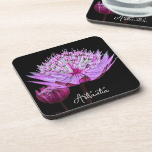 Porta-copo Flor de Astrantia Rosa no Floral Preto