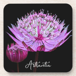 Porta-copo Flor de Astrantia Rosa no Floral Preto