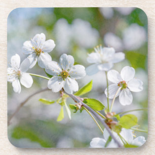 Porta-copo Flor de Cereja Branca