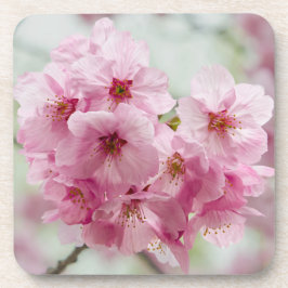 Porta-copo Flor de Cereja Japonês Rosa
